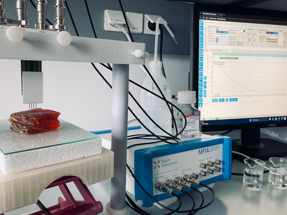 Messung dielektrischer Eigenschaften im biologischen Gewebe (Foto: Seibersdorf Labor GmbH)