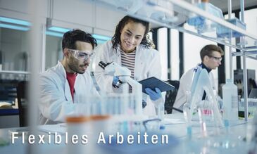 Working at Seibersdorf Labor GmbH - Flexibles Arbeiten (photo: adobe stock)